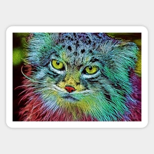 Pallas&#39;s cat Sticker